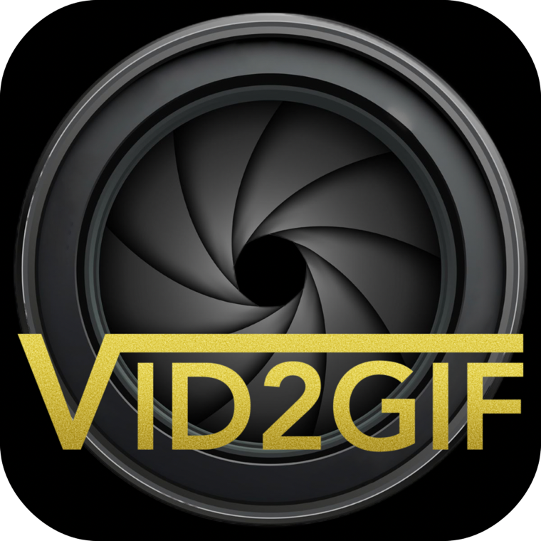 Vid2Gif